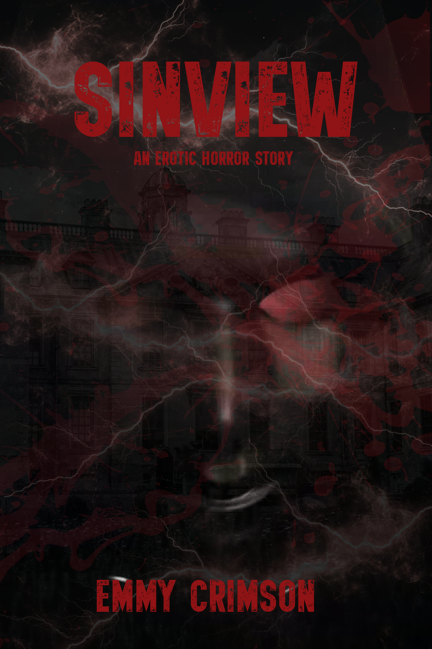 Sinview e-book Updated Version coming 3/1/2026